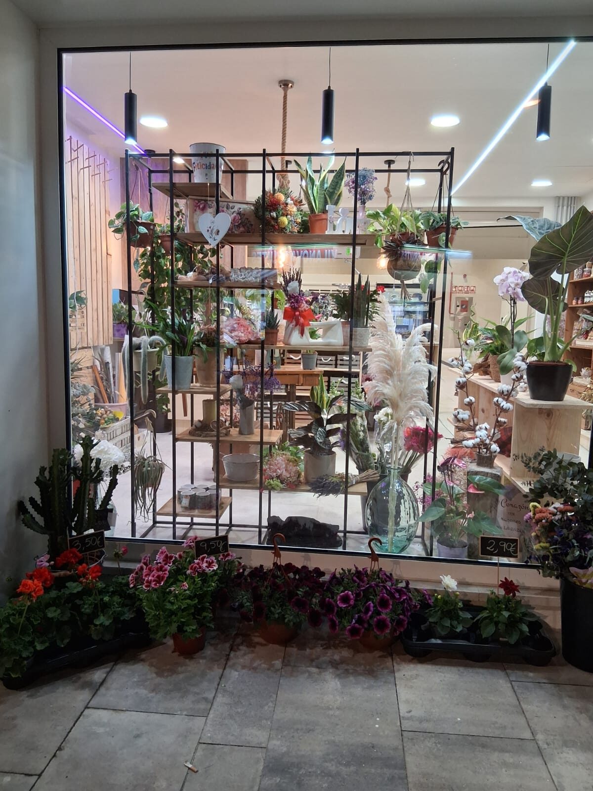 La tienda